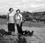 1930 chickens &&nbsp;2010